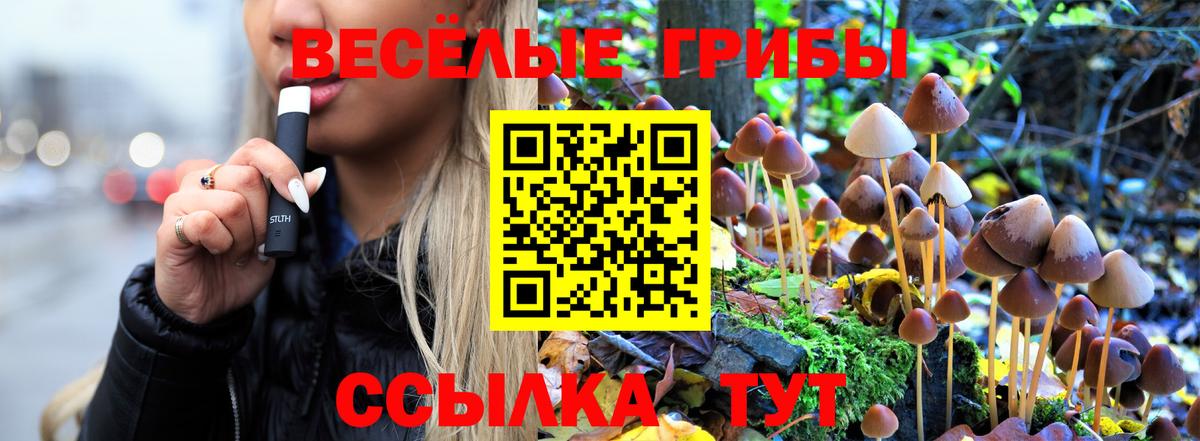 Галлюциногенные грибы Cubensis  Вход с VPN  Старая Купавна 